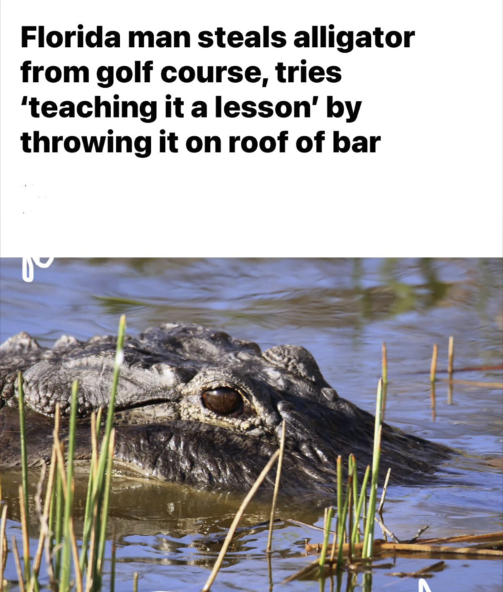 Florida man steals alligator from golf course, tries 'teaching it a lesson' by throwing it on roof of bar