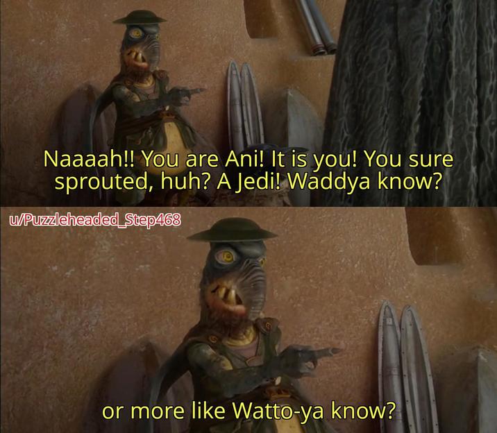 Naaaah!! You are Ani! It is you! You sure sprouted, huh? A Jedi! Waddya know? u/Puzzleheaded_Step468 or more like Watto-ya know?
