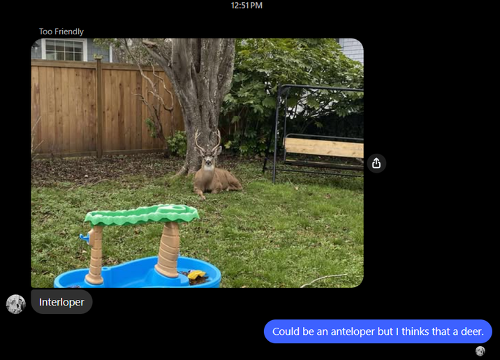 Too Friendly 12:51 PM Interloper Could be an anteloper but I thinks that a deer.