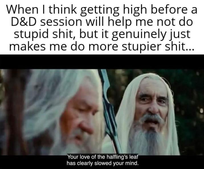 When I think getting high before a D&D session will help me not do stupid s---, but it genuinely just makes me do more stupier s---... Your love of the halfling's leaf has clearly slowed your mind.