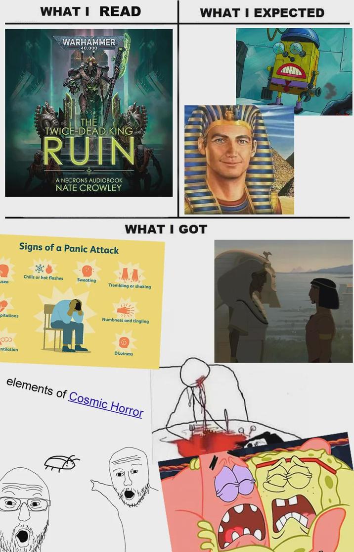 WHAT I READ WHAT I EXPECTED WARHAMMER 40.000 THE TWICE-DEAD KING RUIN A NECRONS AUDIOBOOK NATE CROWLEY Signs of a Panic Attack WHAT I GOT Chills or hot flashes Sweating sea Trembling or shaking pitations *** -ntilation Numbness and tingling C Dizziness elements of Cosmic Horror D