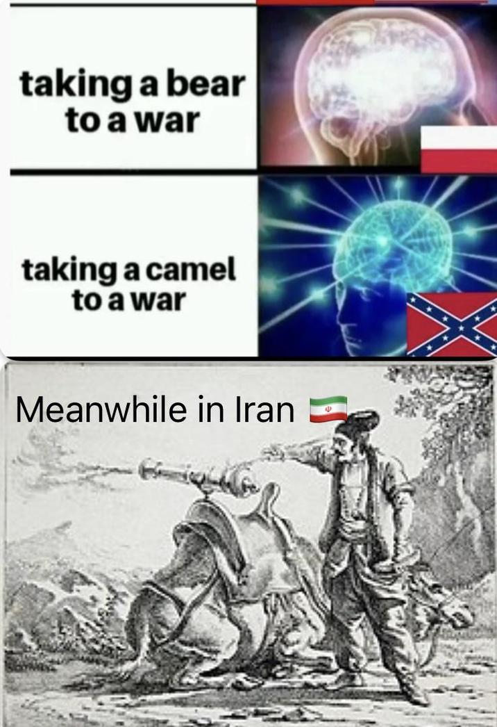 taking a bear to a war taking a camel to a war Meanwhile in Iran