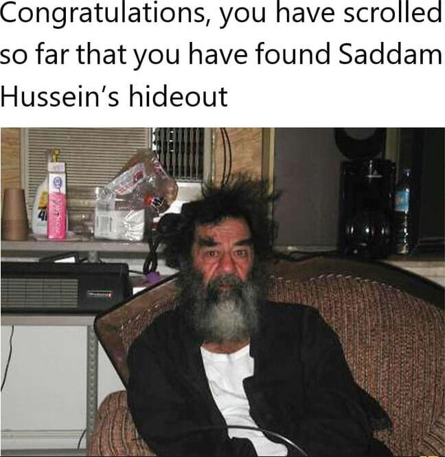 Congratulations, you have scrolled so far that you have found Saddam Hussein's hideout 4