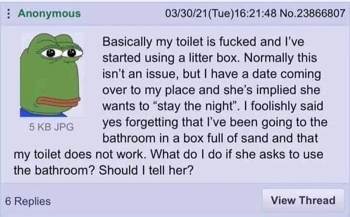 Anonymous 5 KB JPG 03/30/21(Tue)16:21:48 No.23866807 Basically my toilet is f----- and I've started using a litter box. Normally this isn't an issue, but I have a date coming over to my place and she's implied she wants to "stay the night". I foolishly said yes forgetting that I've been going to the bathroom in a box full of sand and that my toilet does not work. What do I do if she asks to use the bathroom? Should I tell her? 6 Replies View Thread