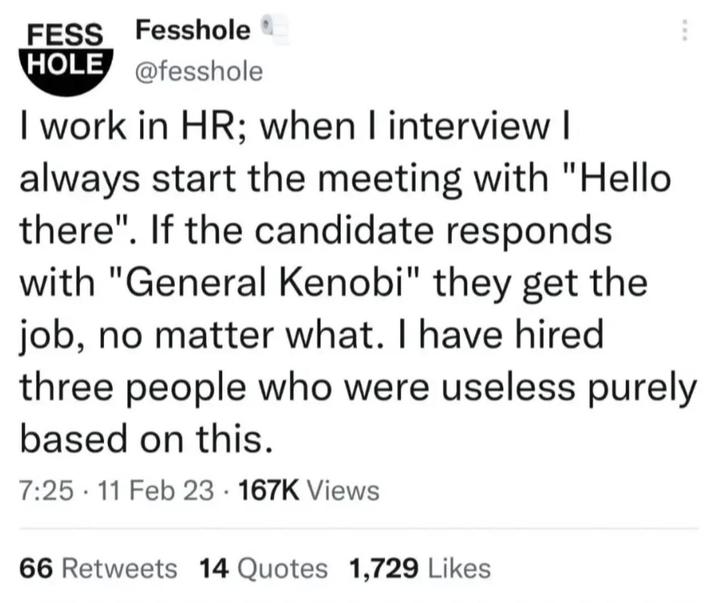 FESS Fesshole HOLE @fesshole I work in HR; when I interview I always start the meeting with "Hello. there". If the candidate responds with "General Kenobi" they get the job, no matter what. I have hired three people who were useless purely based on this. 7:25 11 Feb 23 167K Views 66 Retweets 14 Quotes 1,729 Likes
