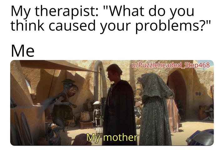 My therapist: "What do you think caused your problems?" Me u/Puzzleheaded Step468 My mother