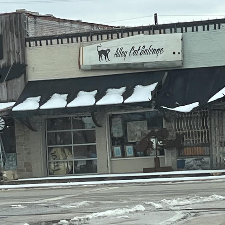 Alley Cat Salvage