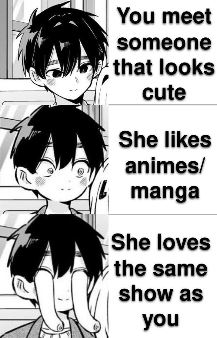 You meet someone that looks cute She likes animes/ manga She loves the same show as you