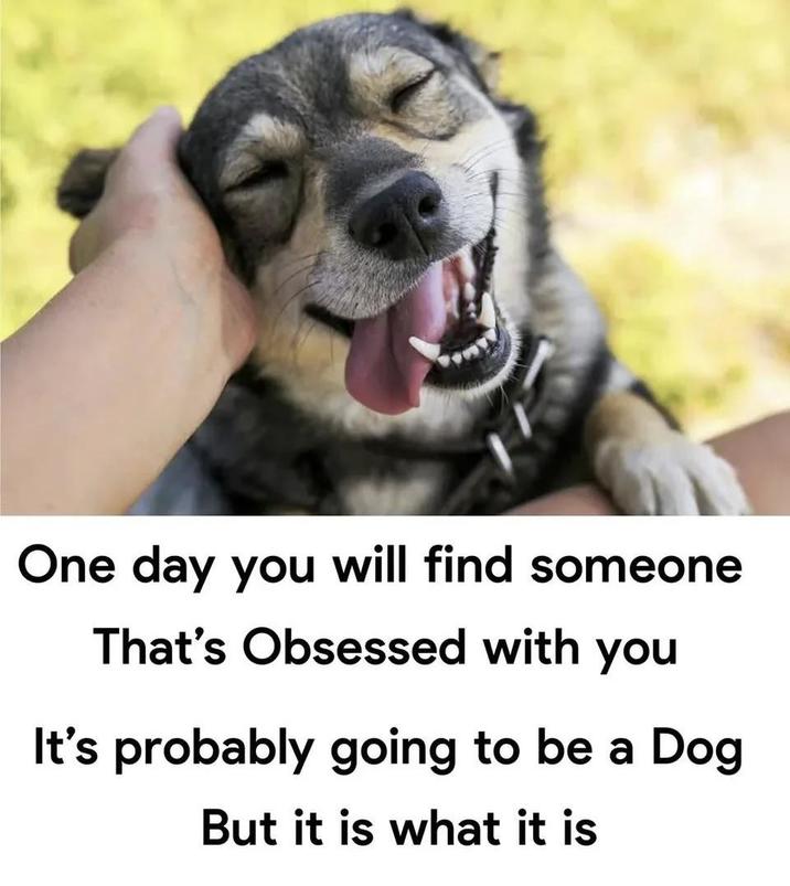 One day you will find someone That's Obsessed with you It's probably going to be a Dog But it is what it is