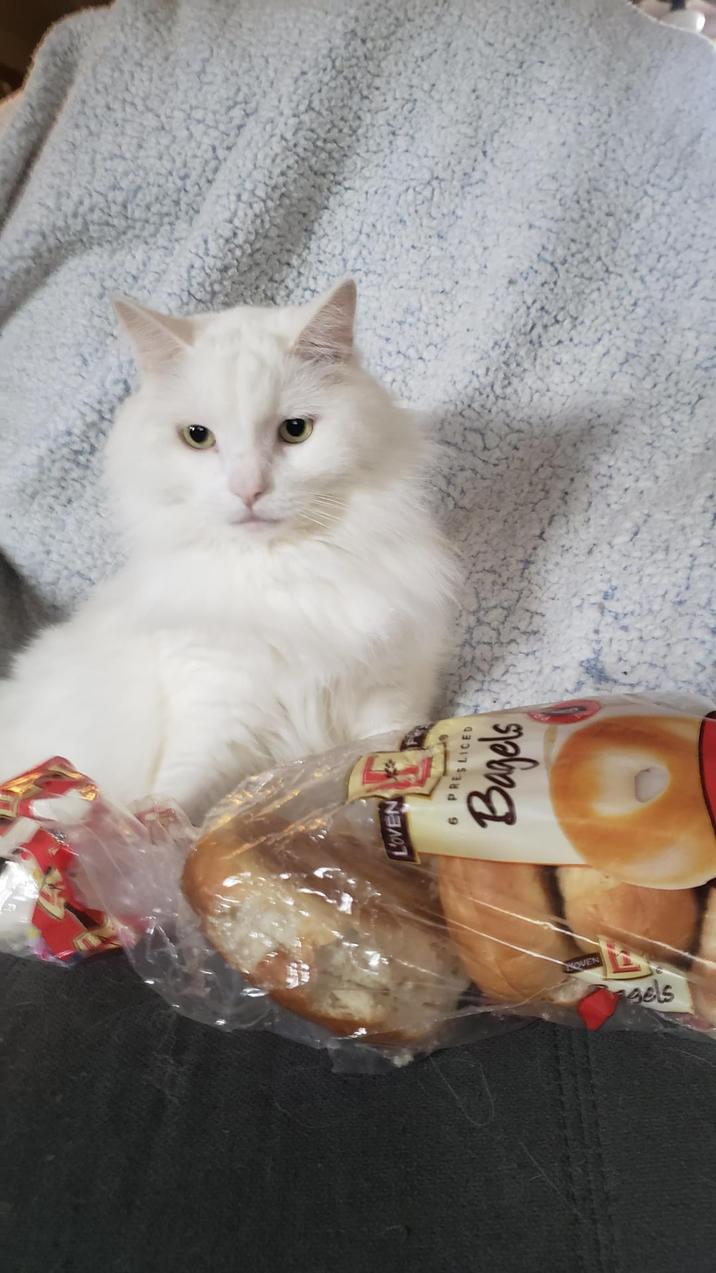 LOVEN sels 6 PRESLICED Bagels