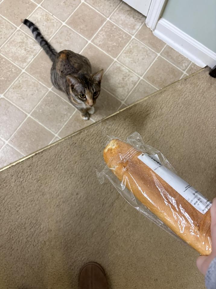 TE BAGUETTE SELL BY 1/16/2026 (21)0001-0677 50 LB) 177