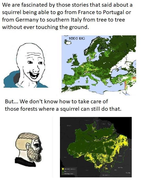 We are fascinated by those stories that said about a squirrel being able to go from France to Portugal or from Germany to southern Italy from tree to tree without ever touching the ground. 1000 BC But... We don't know how to take care of those forests where a squirrel can still do that. MIKE