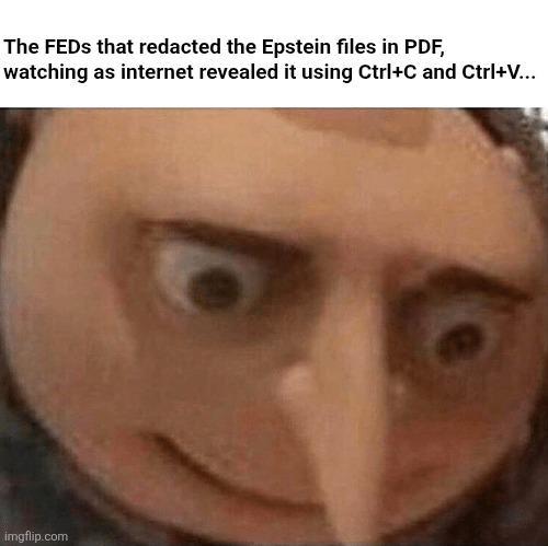 The FEDs that redacted the Epstein files in PDF, watching as internet revealed it using Ctrl+C and Ctrl+V... imgflip.com