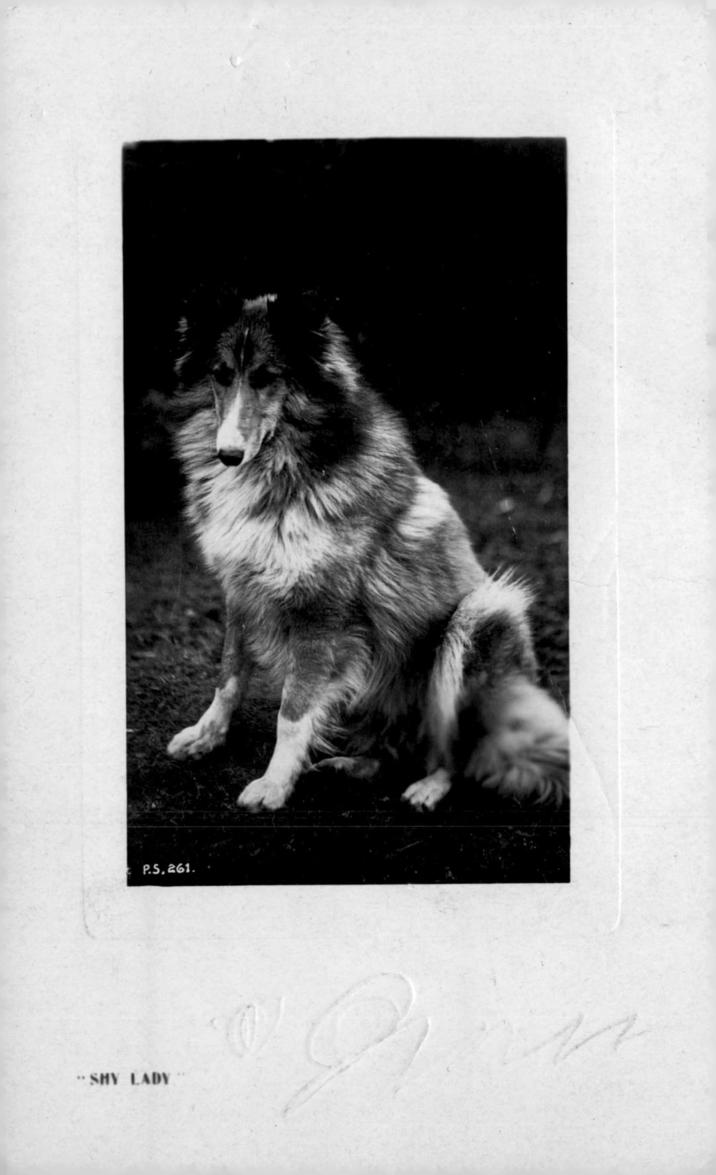 .. P.S. 261. SHY LADY