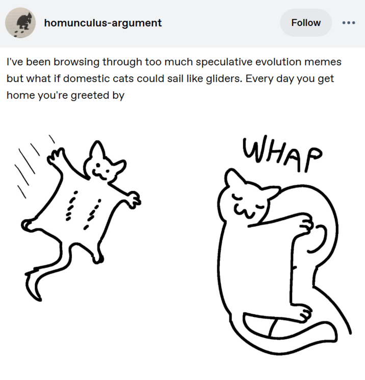 homunculus-argument Follow I've been browsing through too much speculative evolution memes but what if domestic cats could sail like gliders. Every day you get home you're greeted by WHAP