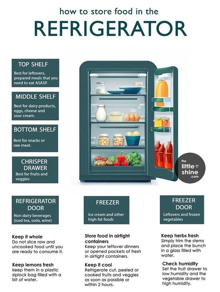 how to store food in the REFRIGERATOR TOP SHELF Best for leftovers, prepared meals that you need to eat ASASP. MIDDLE SHELF Best for dairy products, eggs, cheese and sour cream. BOTTOM SHELF Best for snacks or raw meat. CHRISPER DRAWER Best for fruits and veggies the little shine .com REFRIGERATOR DOOR Non dairy beverages (iced tea, soda, wine) Keep it whole Do not slice raw and uncooked food until you are ready to consume it. Keep lemons fresh keep them in a plastic ziplock bag filled with a bit of water. FREEZER Ice cream and other high-fat foods Store food in airtight containers Keep your leftover dinners or opened packets of fresh in airtight containers. Keep it cool Refrigerate cut, peeled or cooked fruits and veggies as soon as possible or within 2 hours. FREEZER DOOR Leftovers and frozen vegetables Keep herbs fresh Simply trim the stems and place the bunch in a glass filled with water. Check humidity Set the fruit drawer to low humidity and the vegetable drawer to high humidity.