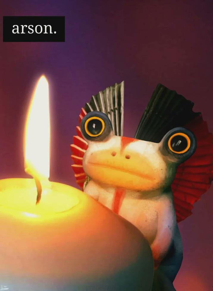 arson. BERGFLDIVE