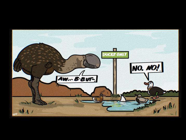 VY AW... BBUT DUCKZ ONLY NO. NO! " NN NIA