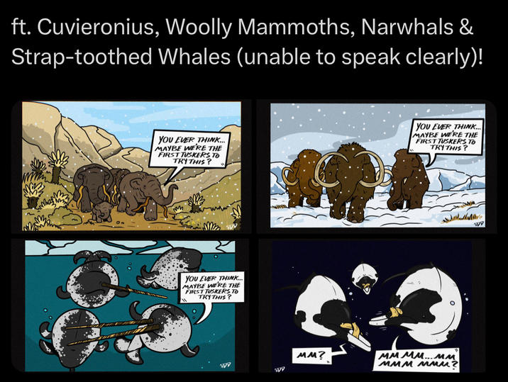 ft. Cuvieronius, Woolly Mammoths, Narwhals & Strap-toothed Whales (unable to speak clearly)! YOU EVER THINK... MAYBE WE'RE THE FIRST TUSKERS TO TRY THIS? m You EVER THINK.... MAYBE WE'RE THE FIRST TUSKERS TO TRY THIS? MM? 'AVV YOU EVER THINK... MAYBE WERE THE FIRST TUSKERS TO TRY THIS? мммм....мм ммм мми? VV