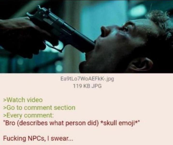 Ea9tLo7WoAEFKK-.jpg 119 KB JPG >Watch video >Go to comment section >Every comment: "Bro (describes what person did) *skull emoji*" F------ NPCs, I swear...