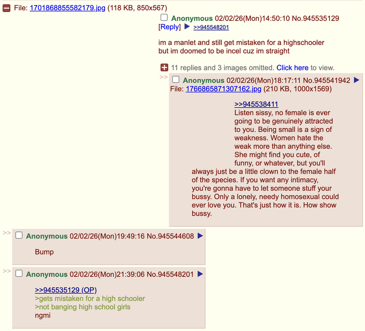 >> File: 1701868855582179.jpg (118 KB, 850x567) Anonymous 02/02/26(Mon) 14:50:10 No.945535129 [Reply] >>945548201 im a manlet and still get mistaken for a highschooler but im doomed to be incel cuz im straight 11 replies and 3 images omitted. Click here to view. >> ☐ Anonymous 02/02/26(Mon) 18:17:11 No.945541942 File: 1766865871307162.jpg (210 KB, 1000x1569) Anonymous 02/02/26(Mon)19:49:16 No.945544608 Bump >>945538411 Listen sissy, no female is ever going to be genuinely attracted to you. Being small is a sign of weakness. Women hate the weak more than anything else. She might find you cute, of funny, or whatever, but you'll always just be a little clown to the female half of the species. If you want any intimacy, you're gonna have to let someone stuff your bussy. Only a lonely, needy homosexual could ever love you. That's just how it is. How show bussy. >> Anonymous 02/02/26(Mon)21:39:06 No.945548201 >>945535129 (OP) >gets mistaken for a high schooler >not banging high s----------- ngmi