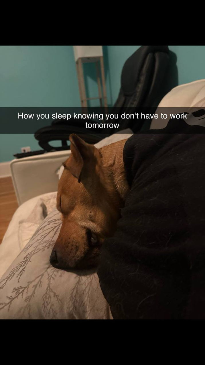 How you sleep knowing you don't have to work tomorrow