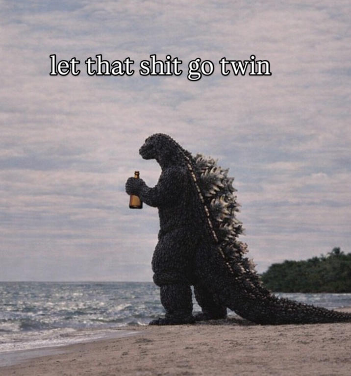 let that s--- go twin