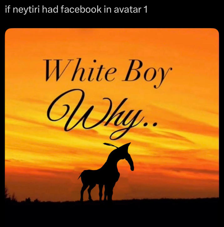 if neytiri had facebook in avatar 1 White Boy Why...