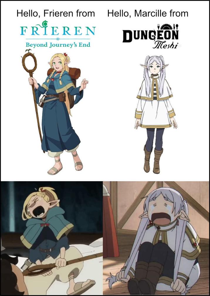 Hello, Frieren from Hello, Marcille from FRIEREN Beyond Journey's End DUNGEON Meshi