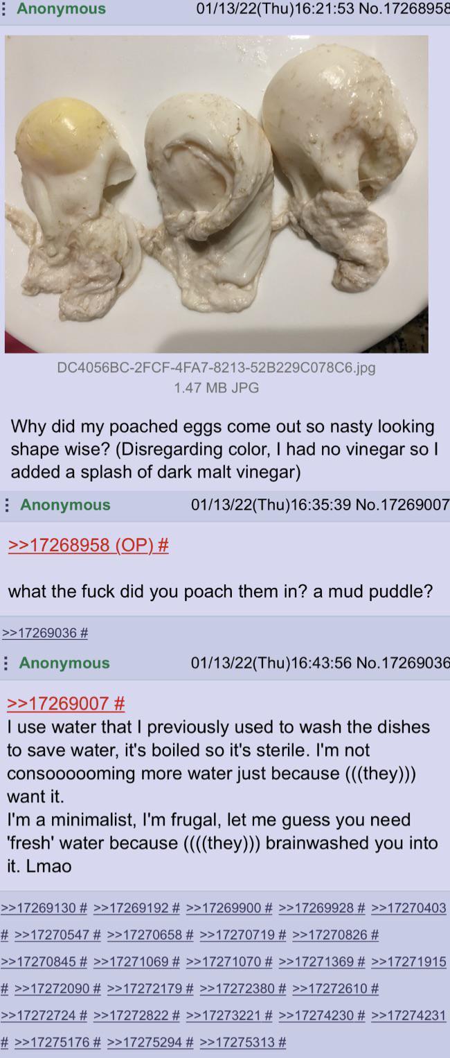 Anonymous 01/13/22(Thu)16:21:53 No.17268958 DC4056BC-2FCF-4FA7-8213-52B229C078C6.jpg 1.47 MB JPG Why did my poached eggs come out so nasty looking shape wise? (Disregarding color, I had no vinegar so I added a splash of dark malt vinegar) Anonymous >>17268958 (OP) # 01/13/22(Thu)16:35:39 No.17269007 what the f--- did you poach them in? a mud puddle? >>17269036 # Anonymous >>17269007 # 01/13/22(Thu)16:43:56 No.17269036 I use water that I previously used to wash the dishes to save water, it's boiled so it's sterile. I'm not consoooooming more water just because (((they))) want it. I'm a minimalist, I'm frugal, let me guess you need 'fresh' water because ((((they))) brainwashed you into it. Lmao >>17269130 # >>17269192 # >>17269900 # >>17269928 # >>17270403 # >>17270547 # >>17270658 # >>17270719 # >>17270826 # >>17270845 # >>17271069 # >>17271070 # >>17271369 # >>17271915 # >>17272090 # >>17272179 # >>17272380 # >>17272610 # >>17272724 # >>17272822 # >>17273221 # >>17274230 # >>17274231 # >>17275176 # >>17275294 # >>17275313 #