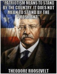 "PATRIOTISM MEANS TO STAND BY THE COUNTRY. IT DOES NOT MEAN TO STAND BY THE PRESIDENT" THEODORE ROOSEVELT
