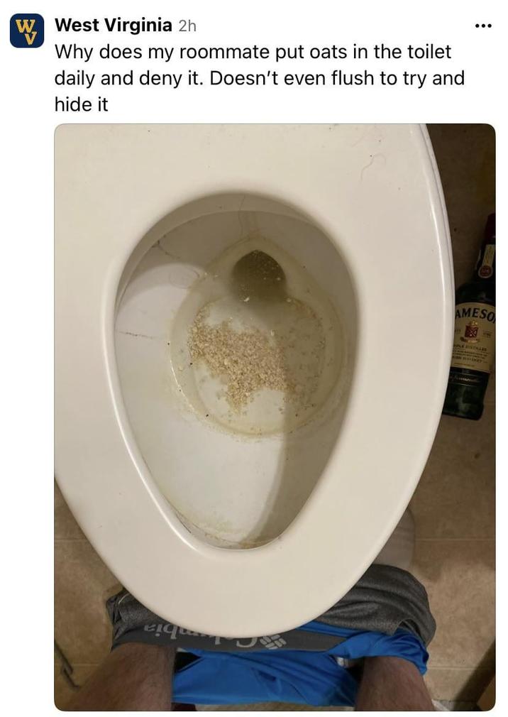 W West Virginia 2h Why does my roommate put oats in the toilet daily and deny it. Doesn't even flush to try and hide it AMESO SPLE DISTILLED
