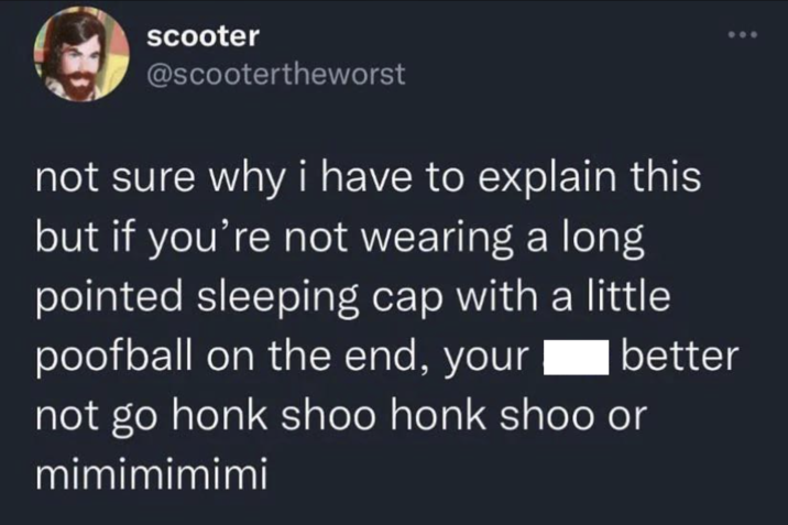 scooter @scootertheworst not sure why i have to explain this but if you're not wearing a long pointed sleeping cap with a little poofball on the end, your better not go honk shoo honk shoo or mimimimimi 600