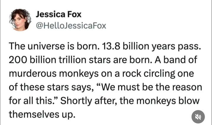 Jessica Fox @HelloJessicaFox The universe is born. 13.8 billion years pass. 200 billion trillion stars are born. A band of murderous monkeys on a rock circling one of these stars says, "We must be the reason for all this." Shortly after, the monkeys blow themselves up.