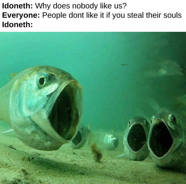 Idoneth: Why does nobody like us? Everyone: People dont like it if you steal their souls Idoneth: