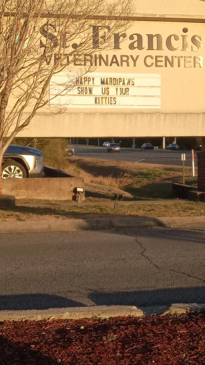 Francis TERINARY CENTER HAPPY MARDIPAWS SHOW US YOUR KITTIES