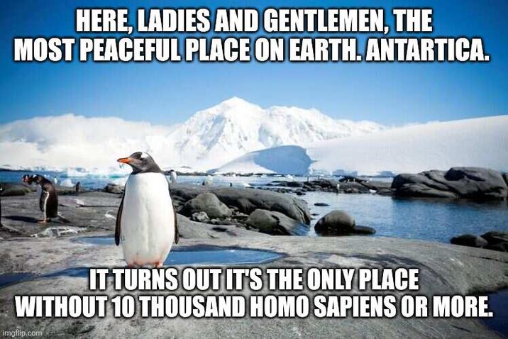 HERE, LADIES AND GENTLEMEN, THE MOST PEACEFUL PLACE ON EARTH. ANTARTICA. IT TURNS OUT IT'S THE ONLY PLACE WITHOUT 10 THOUSAND H--- SAPIENS OR MORE. imgflip.com