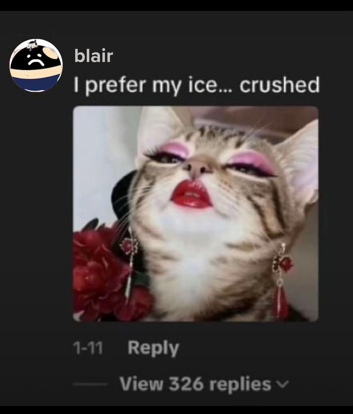A comment left by TikToker Blair. It reads, "I prefer my ice... crushed."