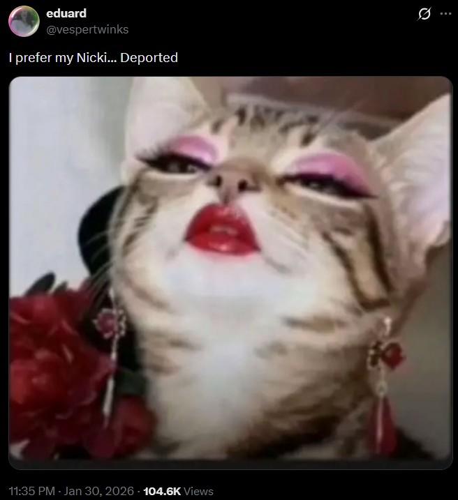 eduard @vespertwinks I prefer my Nicki... Deported 48 0 11:35 PM - Jan 30, 2026 104.6K Views