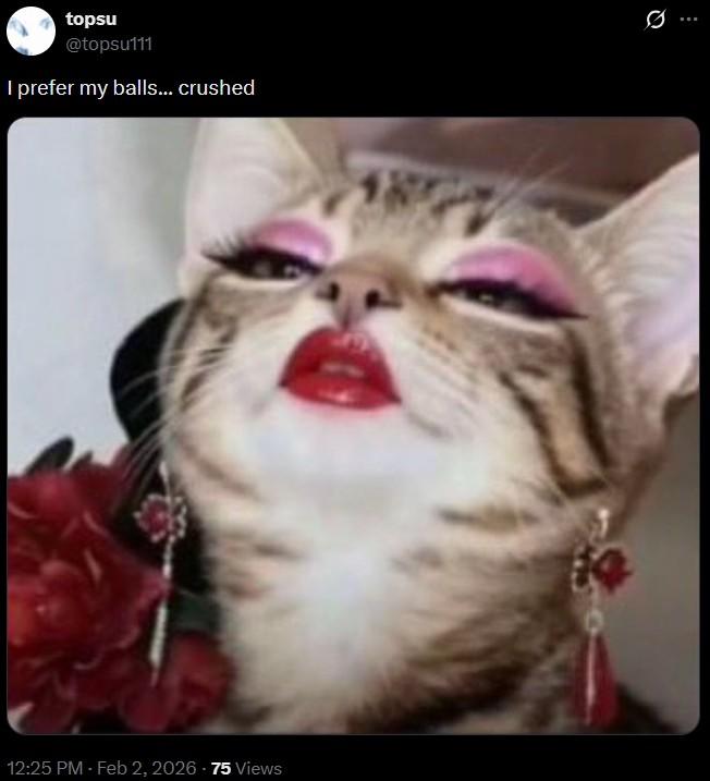 topsu @topsu111 I prefer my balls... crushed 12:25 PM - Feb 2, 2026 - 75 Views