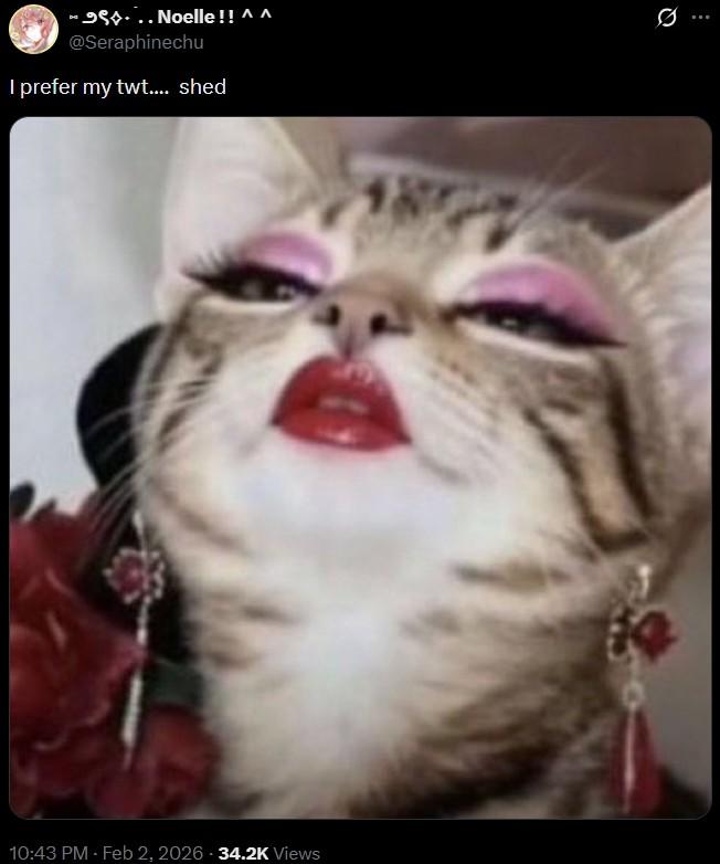 10:43 PM - Feb 2, 2026 -34.2K Views -99... Noelle !! ^ ^ @Seraphinechu I prefer my twt.... shed Q