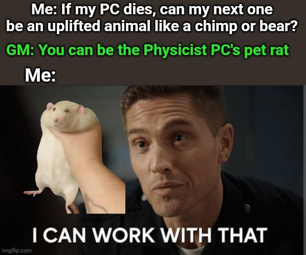 Me: If my PC dies, can my next one be an uplifted animal like a chimp or bear? GM: You can be the Physicist PC's pet rat Me: imgflip.com I CAN WORK WITH THAT