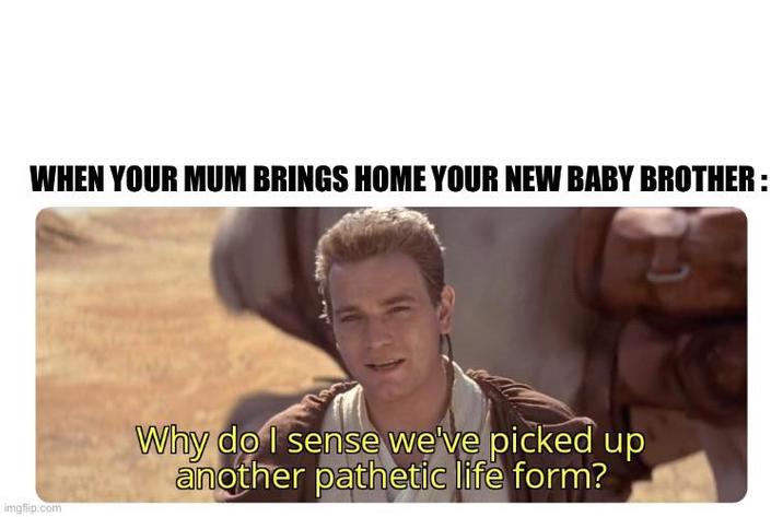 WHEN YOUR MUM BRINGS HOME YOUR NEW BABY BROTHER: imgflip.com Why do I sense we've picked up another pathetic life form?