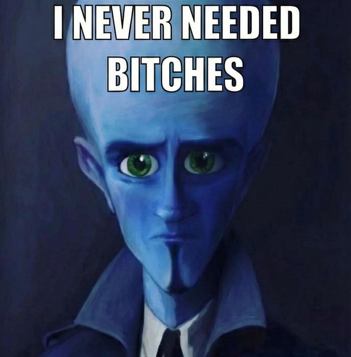 I NEVER NEEDED BITCHES