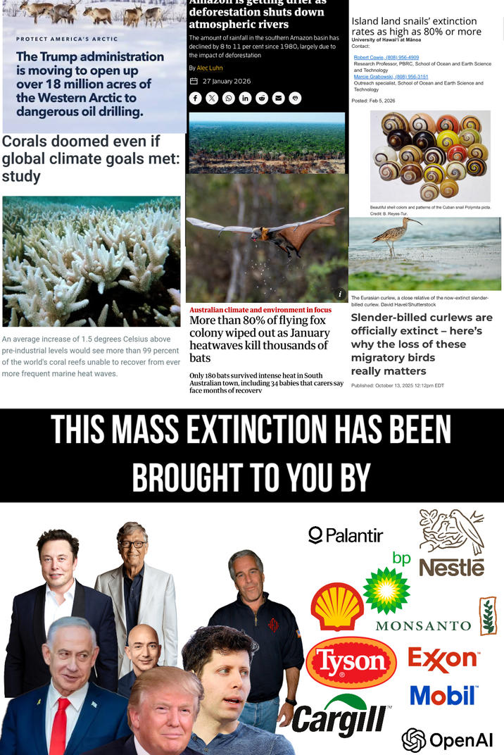 PROTECT AMERICA'S ARCTIC The Trump administration is moving to open up over 18 million acres of the Western Arctic to dangerous oil drilling. Corals doomed even if global climate goals met: study deforestation shuts down atmospheric rivers The amount of rainfall in the southern Amazon basin has declined by 8 to 11 per cent since 1980, largely due to the impact of deforestation. By Alec Luhn 27 January 2026 in Island land snails' extinction rates as high as 80% or more University of Hawai'i at Manoa Contact: Robert Cowie, (808) 956-4909 Research Professor, PBRC, School of Ocean and Earth Science and Technology Marcie Grabowski, (808) 956-3151 Outreach specialist, School of Ocean and Earth Science and Technology Posted: Feb 5, 2026 i Beautiful shell colors and patterns of the Cuban snail Polymita picta. Credit: B. Reyes-Tur. An average increase of 1.5 degrees Celsius above pre-industrial levels would see more than 99 percent of the world's coral reefs unable to recover from ever more frequent marine heat waves. Australian climate and environment in focus More than 80% of flying fox colony wiped out as January heatwaves kill thousands of bats Only 180 bats survived intense heat in South Australian town, including 34 babies that carers say face months of recoverv The Eurasian curlew, a close relative of the now-extinct slender- billed curlew. David Havel/Shutterstock Slender-billed curlews are officially extinct - here's why the loss of these migratory birds really matters Published: October 13, 2025 12:12pm EDT THIS MASS EXTINCTION HAS BEEN BROUGHT TO YOU BY Q Palantir bp Nestle MONSANTO Tyson Exxon Mobil®™ Cargill OpenAl