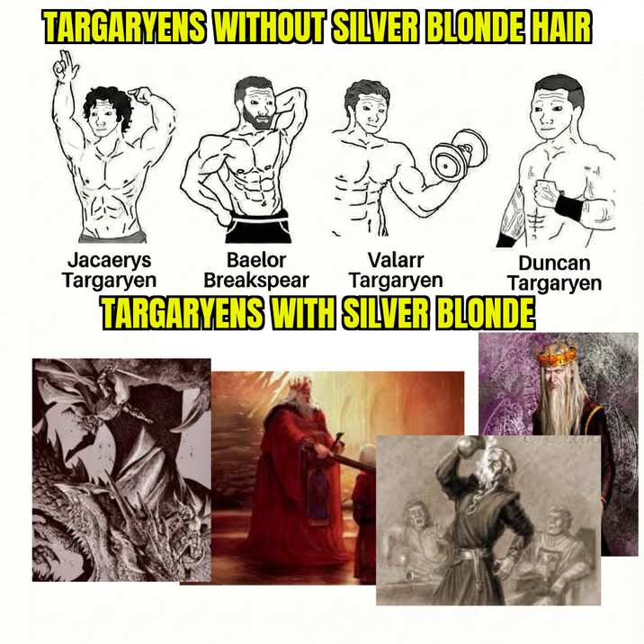 TARGARYENS WITHOUT SILVER BLONDE HAIR Jacaerys Targaryen Baelor Breakspear Valarr Targaryen Duncan Targaryen TARGARYENS WITH SILVER BLONDE