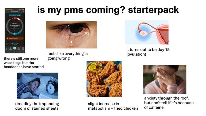 20:04 nc-Sh Your current cycle Mode: Clue Period Tracking is my pms coming? starterpack Today, Feb 06 8 more days until next period About the luteal phase How do you feel today? It's your mid phase + 0 Calendar Analysis O 日 Content < * there's still one more week to go but the headaches have started feels like everything is going wrong it turns out to be day 15 (ovulation) dreading the impending doom of stained sheets slight increase in metabolism = fried chicken anxiety through the roof, but can't tell if it's because of caffeine