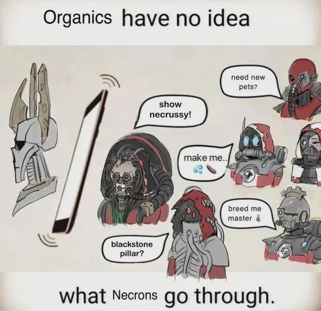 Organics have no idea show necrussy! blackstone pillar? make me.. need new pets? breed me master what Necrons go through.