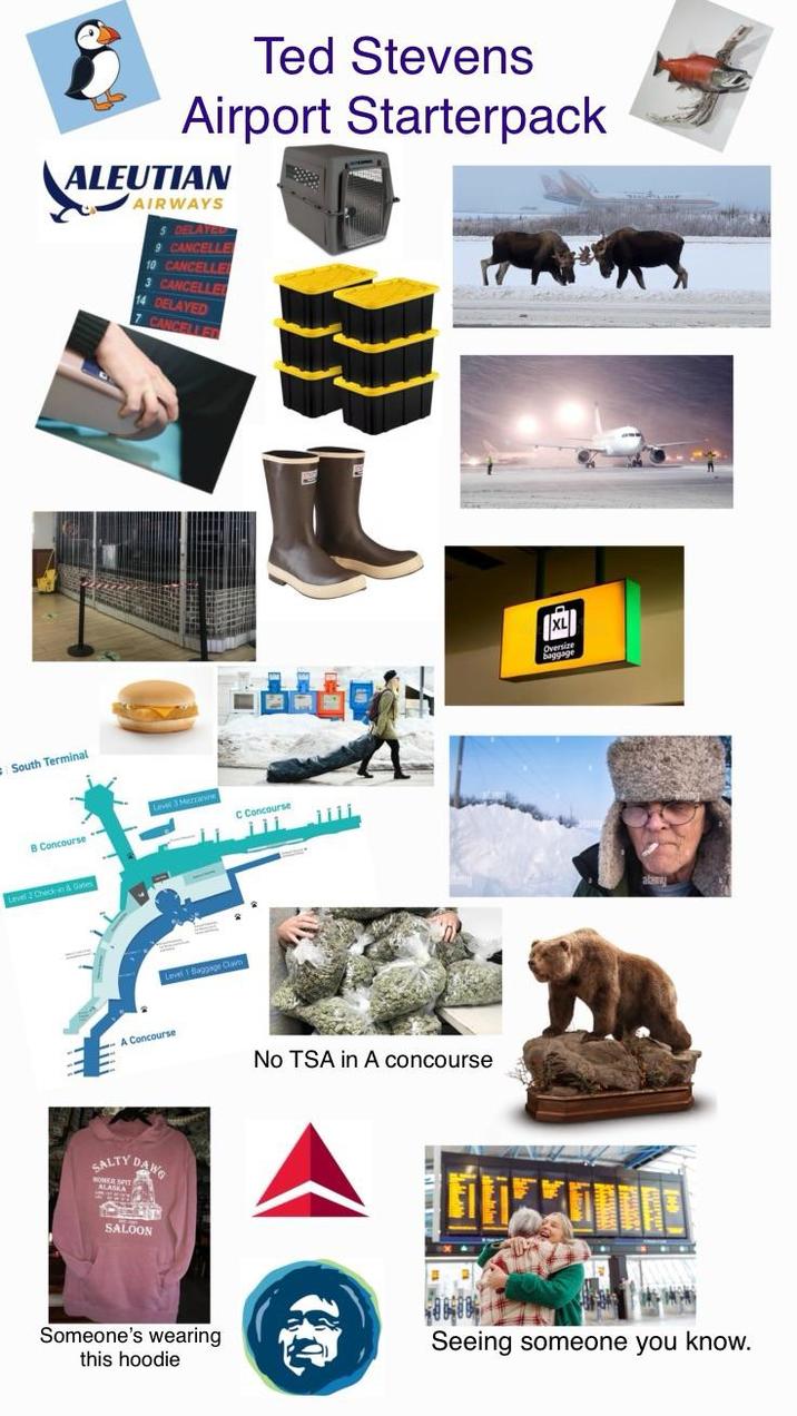 South Terminal Ted Stevens Airport Starterpack ALEUTIAN AIRWAYS 5 DELAYED 9 CANCELLE 10 CANCELLE 3 CANCELLED 14 DELAYED CANCELLED Level 3 Mezzanine B Concourse Level 2 Check-in & Gates SALTY Level 1 Baggage Claim C Concourse A Concourse No TSA in A concourse DAWG SALOON Someone's wearing this hoodie Oversize baggage Seeing someone you know.