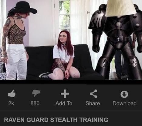 VA BURNT + 2k 880 Add To Share Download RAVEN GUARD STEALTH TRAINING